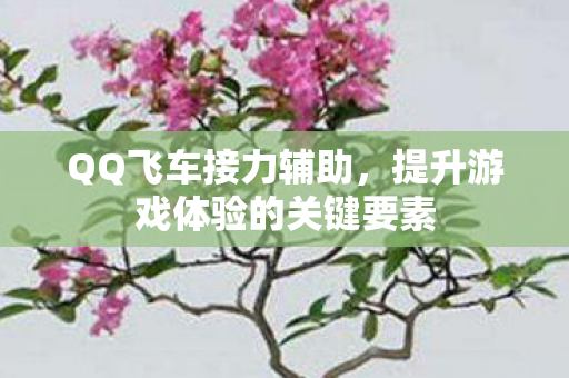 QQ飞车接力辅助，提升游戏体验的关键要素