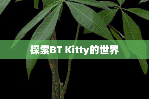 探索BT Kitty的世界