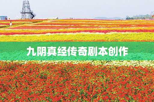 九阴真经传奇剧本创作