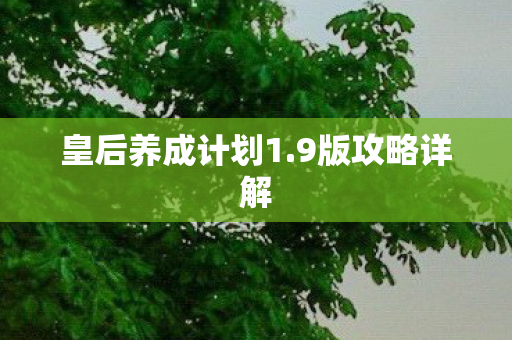 皇后养成计划1.9版攻略详解