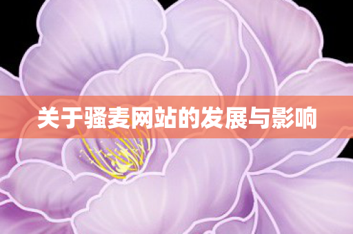 关于骚麦网站的发展与影响