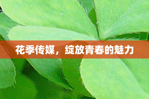 花季传媒，绽放青春的魅力