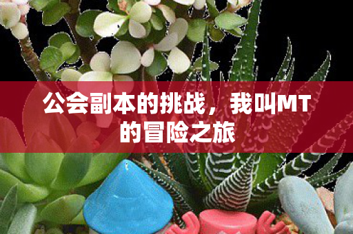 公会副本的挑战，我叫MT的冒险之旅