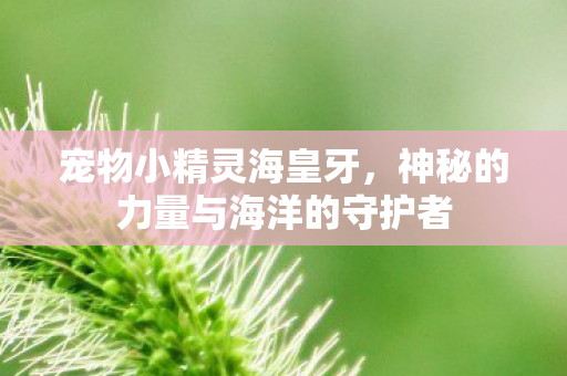 宠物小精灵海皇牙，神秘的力量与海洋的守护者