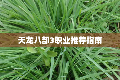 天龙八部3职业推荐指南