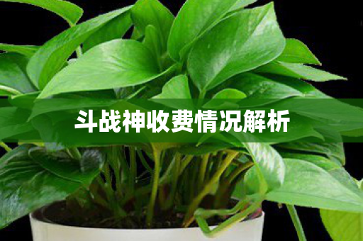 斗战神收费情况解析