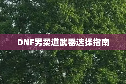 DNF男柔道武器选择指南