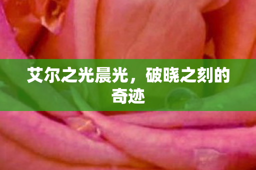 艾尔之光晨光，破晓之刻的奇迹