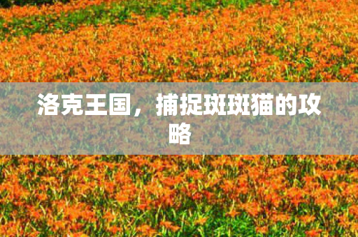 洛克王国，捕捉斑斑猫的攻略