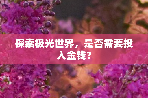 探索极光世界，是否需要投入金钱？