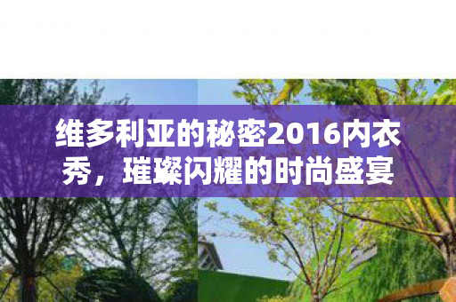 维多利亚的秘密2016内衣秀，璀璨闪耀的时尚盛宴