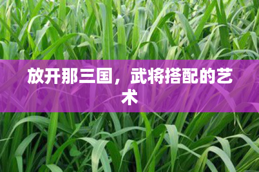 放开那三国，武将搭配的艺术