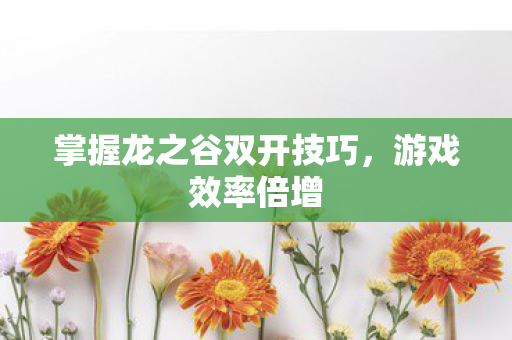 掌握龙之谷双开技巧，游戏效率倍增