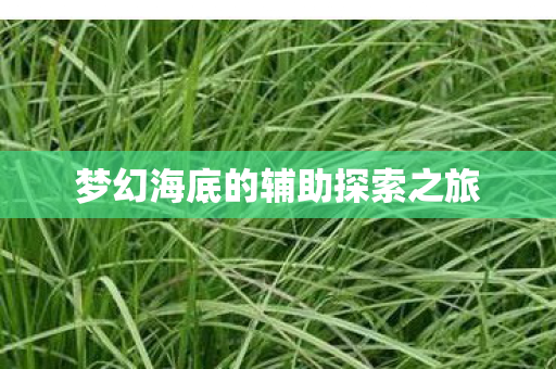 梦幻海底的辅助探索之旅