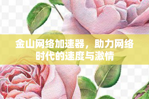 金山网络加速器，助力网络时代的速度与激情