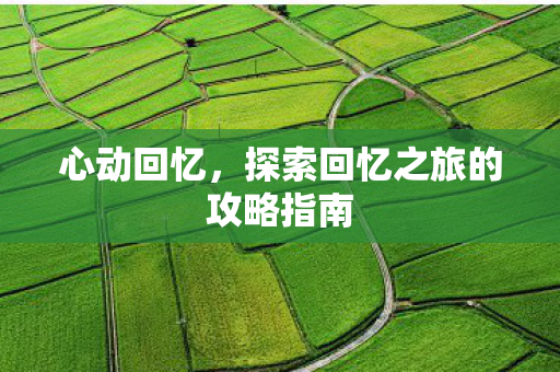 心动回忆，探索回忆之旅的攻略指南