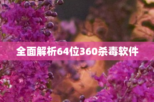 全面解析64位360杀毒软件