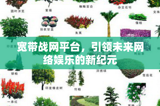 宽带战网平台，引领未来网络娱乐的新纪元