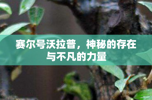 赛尔号沃拉普，神秘的存在与不凡的力量