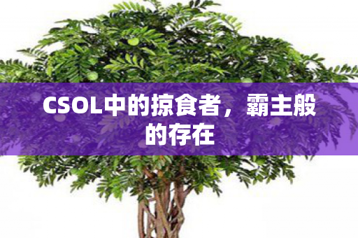 CSOL中的掠食者，霸主般的存在