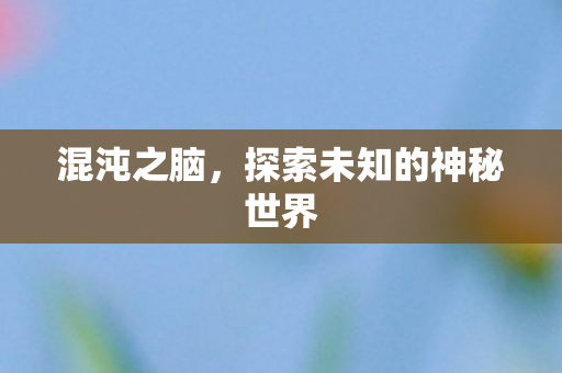 混沌之脑，探索未知的神秘世界