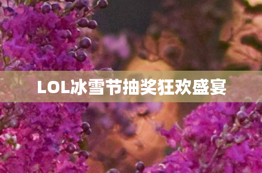 LOL冰雪节抽奖狂欢盛宴