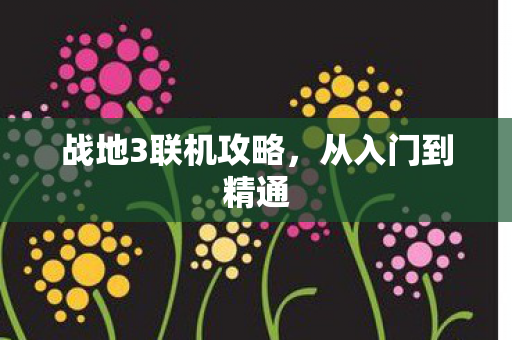 战地3联机攻略，从入门到精通