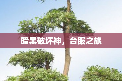 暗黑破坏神，台服之旅