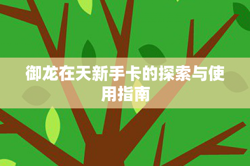 御龙在天新手卡的探索与使用指南