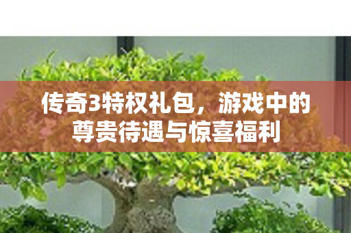 传奇3特权礼包，游戏中的尊贵待遇与惊喜福利