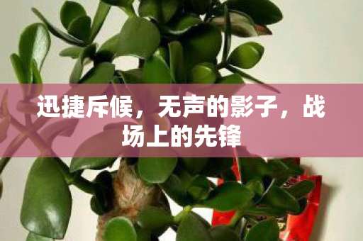 迅捷斥候，无声的影子，战场上的先锋
