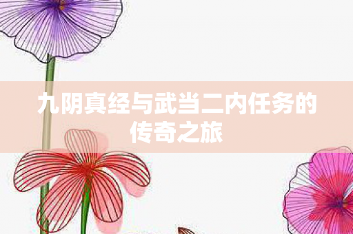 九阴真经与武当二内任务的传奇之旅