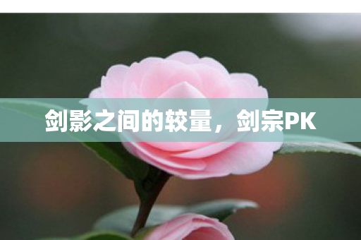 剑影之间的较量，剑宗PK