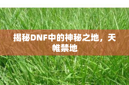 揭秘DNF中的神秘之地，天帷禁地