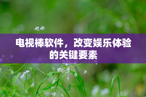 电视棒软件，改变娱乐体验的关键要素