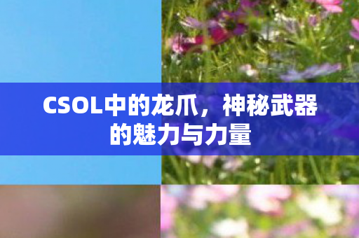 CSOL中的龙爪，神秘武器的魅力与力量