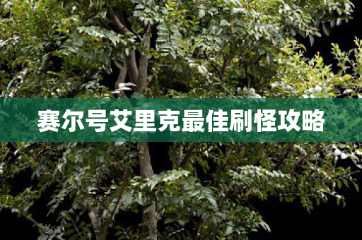 赛尔号艾里克最佳刷怪攻略