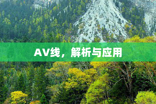 AV线，解析与应用