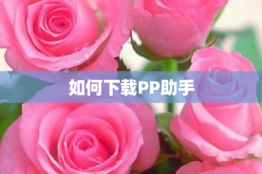如何下载PP助手