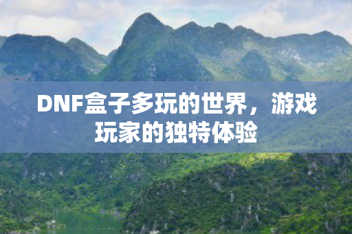 DNF盒子多玩的世界，游戏玩家的独特体验