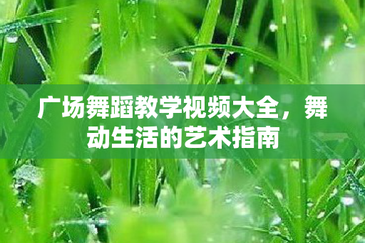 广场舞蹈教学视频大全，舞动生活的艺术指南