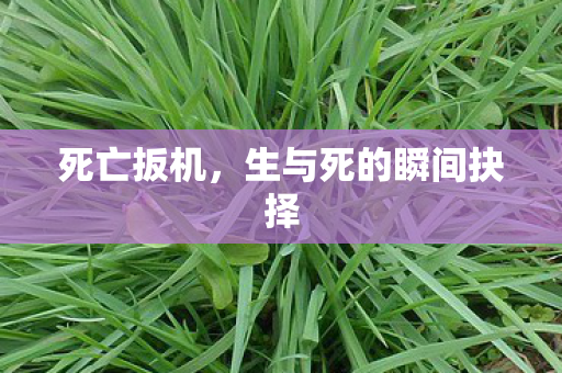 死亡扳机，生与死的瞬间抉择