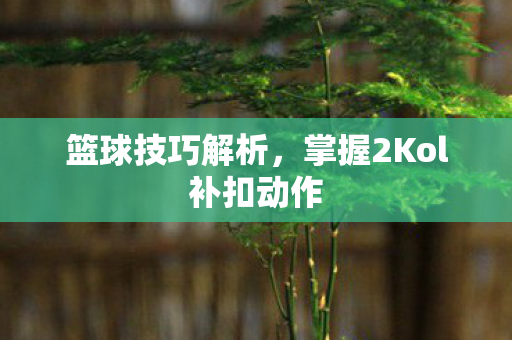 篮球技巧解析，掌握2Kol补扣动作