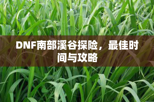 DNF南部溪谷探险，最佳时间与攻略