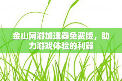 金山网游加速器免费版，助力游戏体验的利器