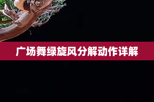 广场舞绿旋风分解动作详解