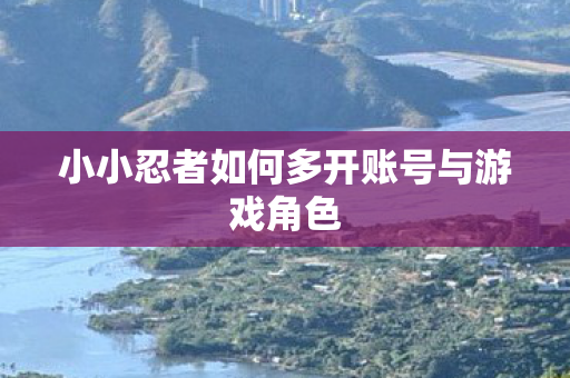 小小忍者如何多开账号与游戏角色