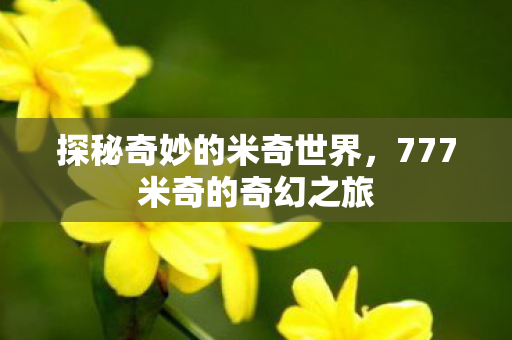 探秘奇妙的米奇世界，777米奇的奇幻之旅