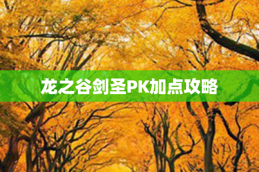 龙之谷剑圣PK加点攻略