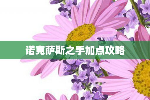 诺克萨斯之手加点攻略